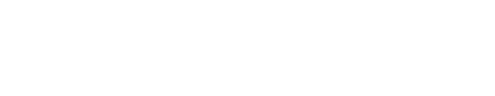 RealBridge Strategy